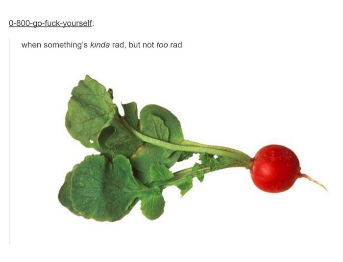 How Many Of These Puns Can You Guess Without Looking At The Answers? How Many Of These Puns Can You Guess Without Looking At The Answers?