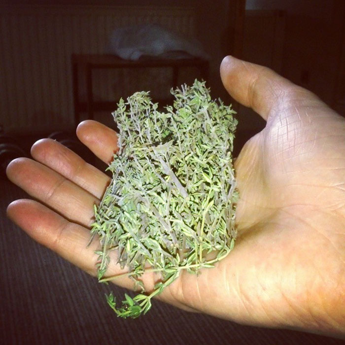 How Many Of These Puns Can You Guess Without Looking At The Answers? How Many Of These Puns Can You Guess Without Looking At The Answers?