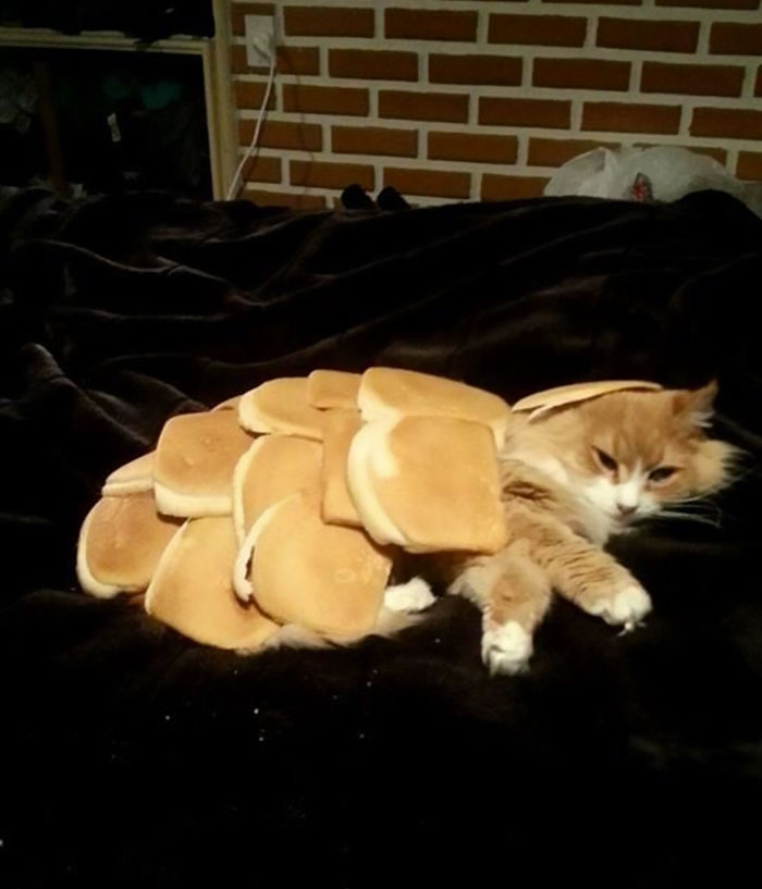 How Many Of These Puns Can You Guess Without Looking At The Answers? How Many Of These Puns Can You Guess Without Looking At The Answers?