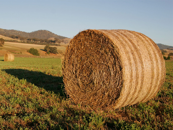 How Many Of These Puns Can You Guess Without Looking At The Answers? How Many Of These Puns Can You Guess Without Looking At The Answers?