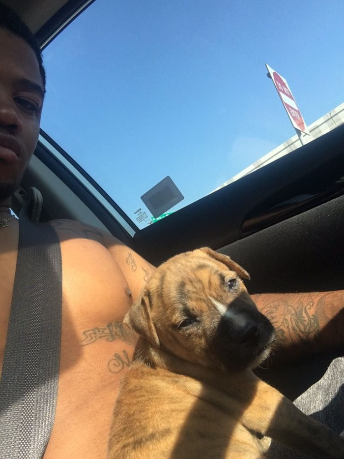 People Fall In Love With Dog Who Tried To Clean Up His Own Pee From Owner&#8217;s Friend&#8217;s Bathroom Floor