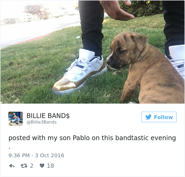 People Fall In Love With Dog Who Tried To Clean Up His Own Pee From Owner&#8217;s Friend&#8217;s Bathroom Floor