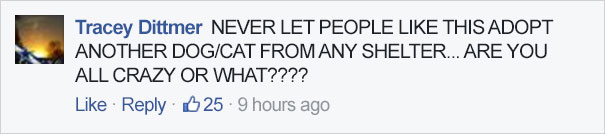 Abandoned Dog Excited To Meet Her Family In A Shelter, But They&#8217;re There To Adopt Another Dog Instead