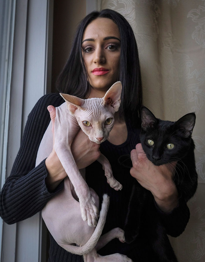 Woman Shocked After Realizing Her $700 Hairless Sphynx Cat Is Actually A Regular Cat That Was Shaved Woman Shocked After Realizing Her $700 Hairless Sphynx Cat Is Actually A Regular Cat That Was Shaved