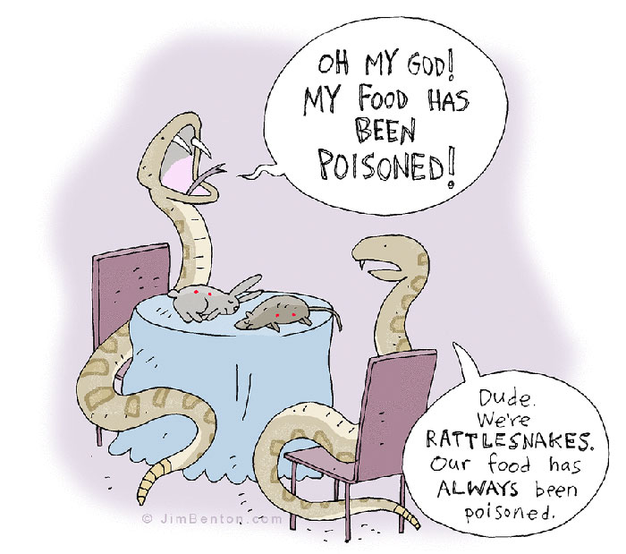 60 Of My Funniest Animal Cartoons So Far 60 Of My Funniest Animal Cartoons So Far