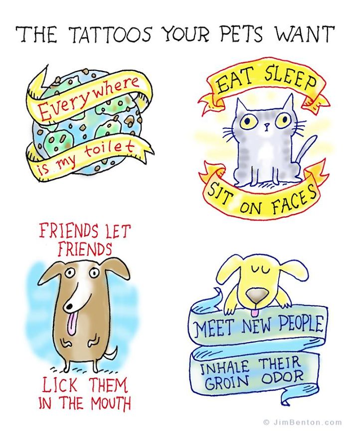 60 Of My Funniest Animal Cartoons So Far 60 Of My Funniest Animal Cartoons So Far