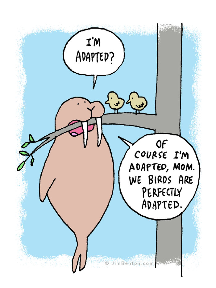 60 Of My Funniest Animal Cartoons So Far 60 Of My Funniest Animal Cartoons So Far