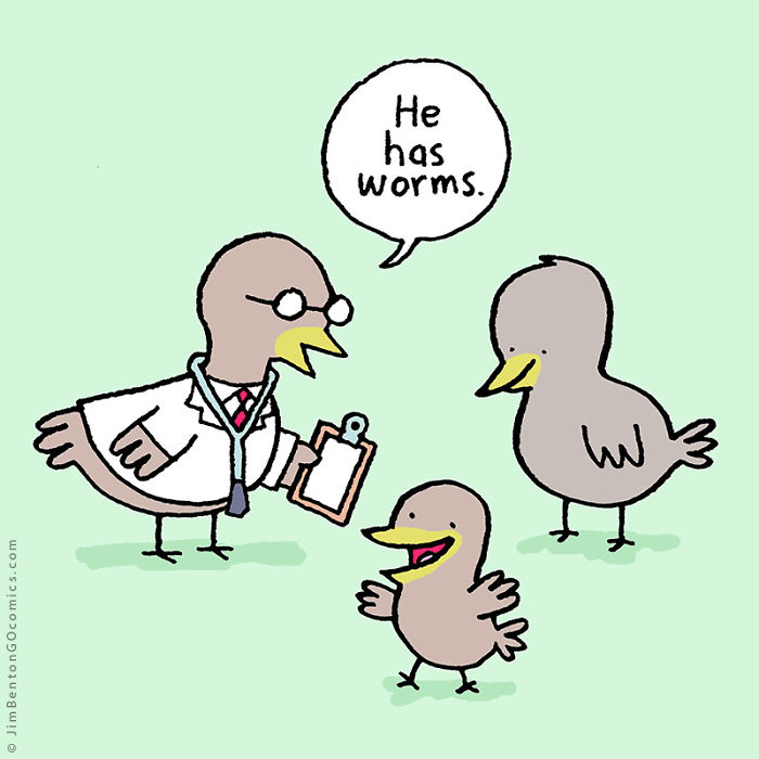 60 Of My Funniest Animal Cartoons So Far 60 Of My Funniest Animal Cartoons So Far