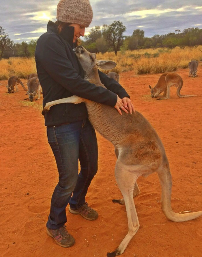 Rescued Kangaroo Hugs Her Rescuers Every Day, And The Internet Can’t Handle It Rescued Kangaroo Hugs Her Rescuers Every Day, And The Internet Can’t Handle It