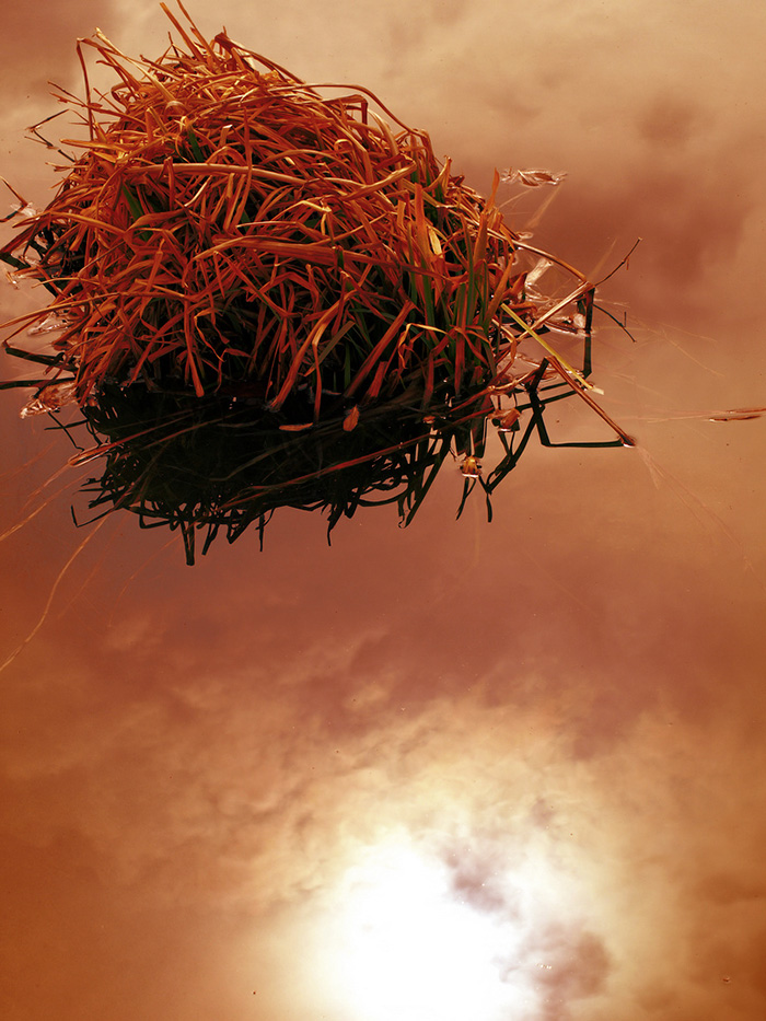 84 Reflections That Will Mess With Your Head 84 Reflections That Will Mess With Your Head