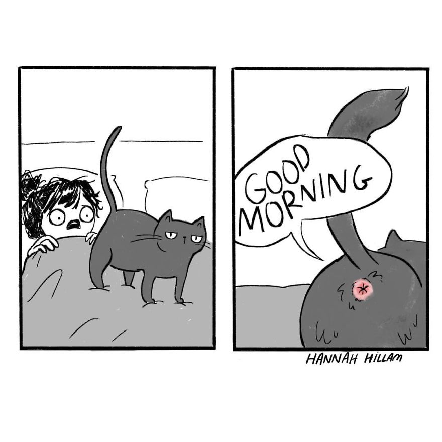 Artist Illustrates What It’s Like To Live With Cats (35 Pics) Artist Illustrates What It’s Like To Live With Cats (35 Pics)