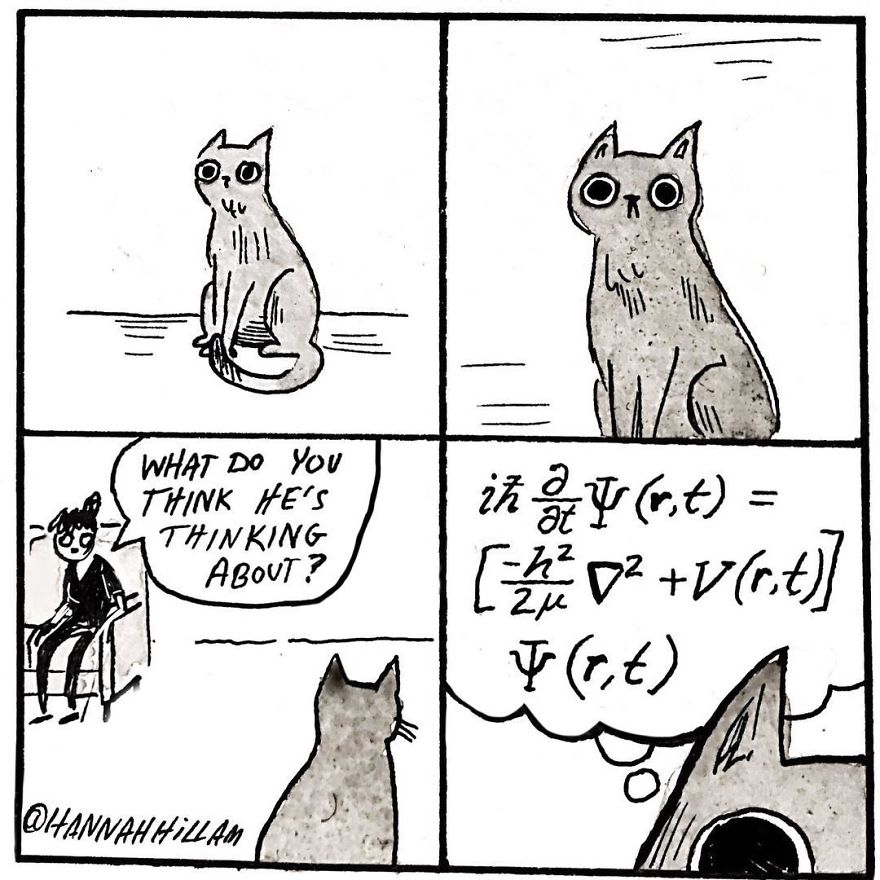 Artist Illustrates What It’s Like To Live With Cats (35 Pics) Artist Illustrates What It’s Like To Live With Cats (35 Pics)