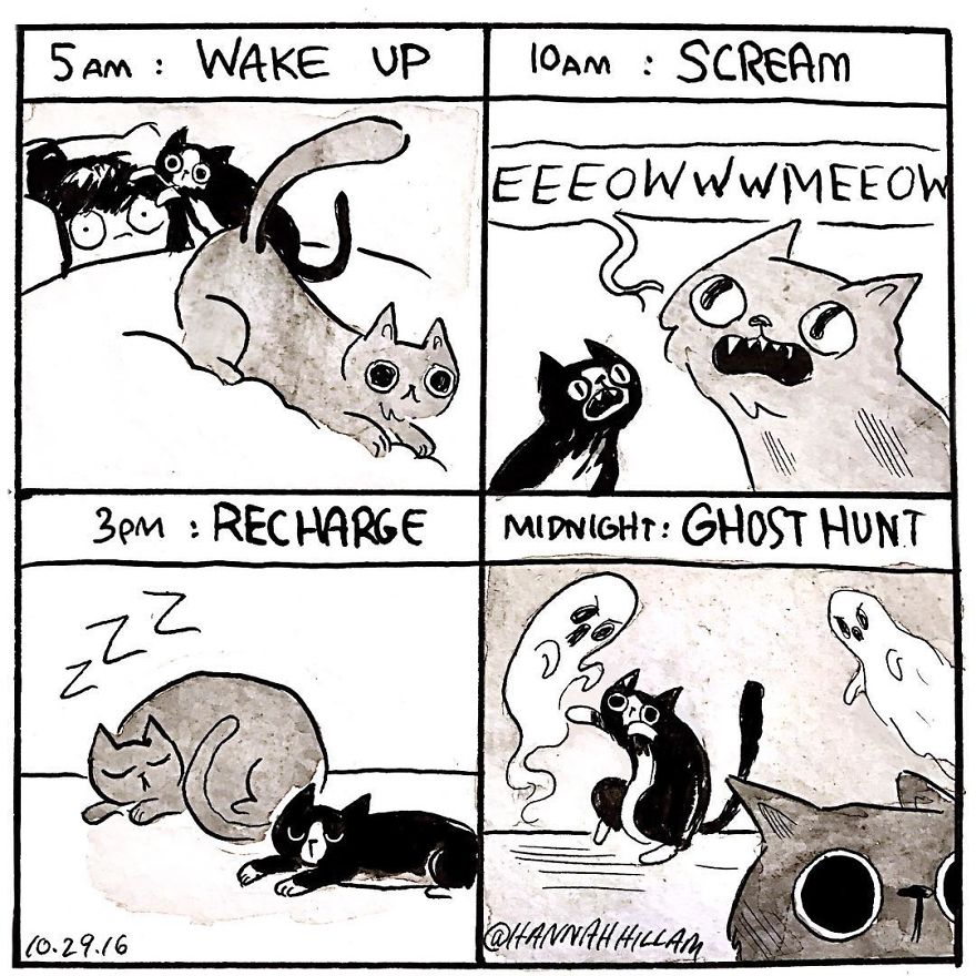 Artist Illustrates What It’s Like To Live With Cats (35 Pics) Artist Illustrates What It’s Like To Live With Cats (35 Pics)