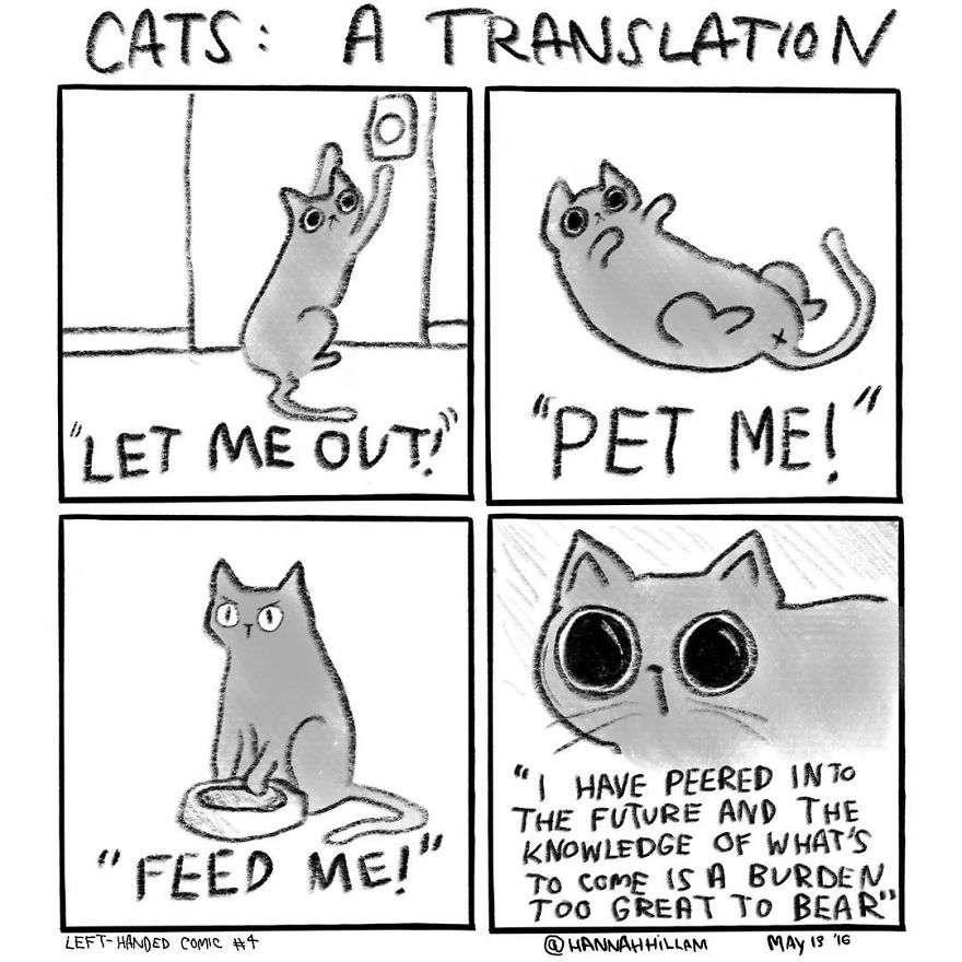 Artist Illustrates What It’s Like To Live With Cats (35 Pics) Artist Illustrates What It’s Like To Live With Cats (35 Pics)