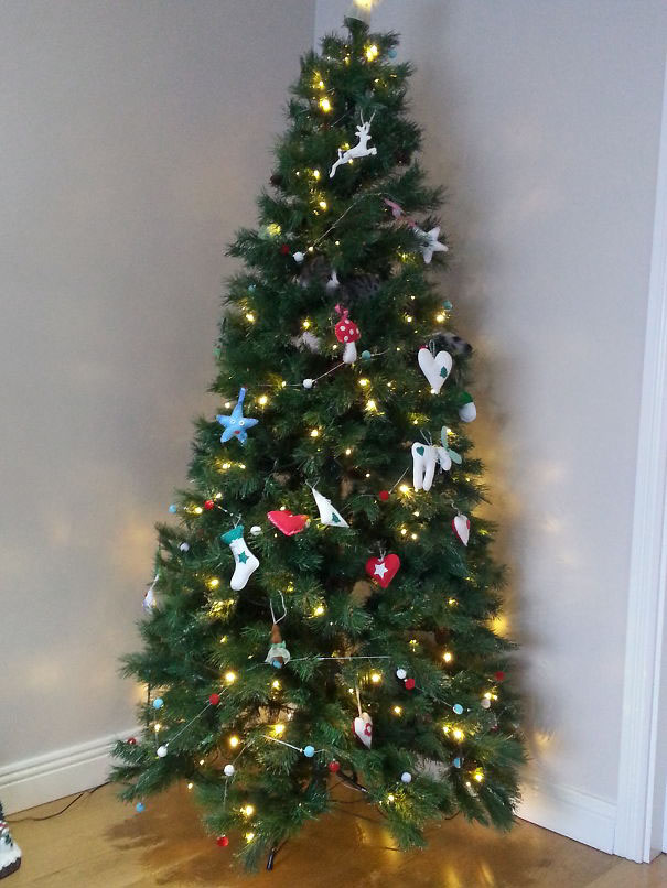 81 Purrfectly Camouflaged Cats That Are Impossible To Find Without Looking At The Answers