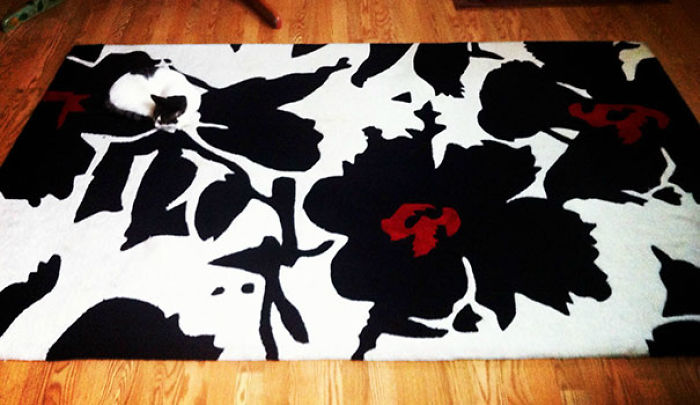 81 Purrfectly Camouflaged Cats That Are Impossible To Find Without Looking At The Answers