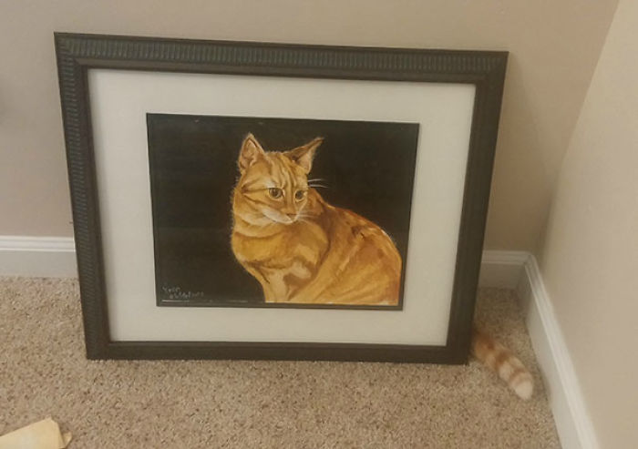 81 Purrfectly Camouflaged Cats That Are Impossible To Find Without Looking At The Answers