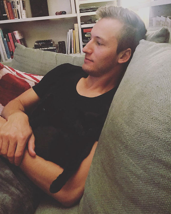 81 Purrfectly Camouflaged Cats That Are Impossible To Find Without Looking At The Answers