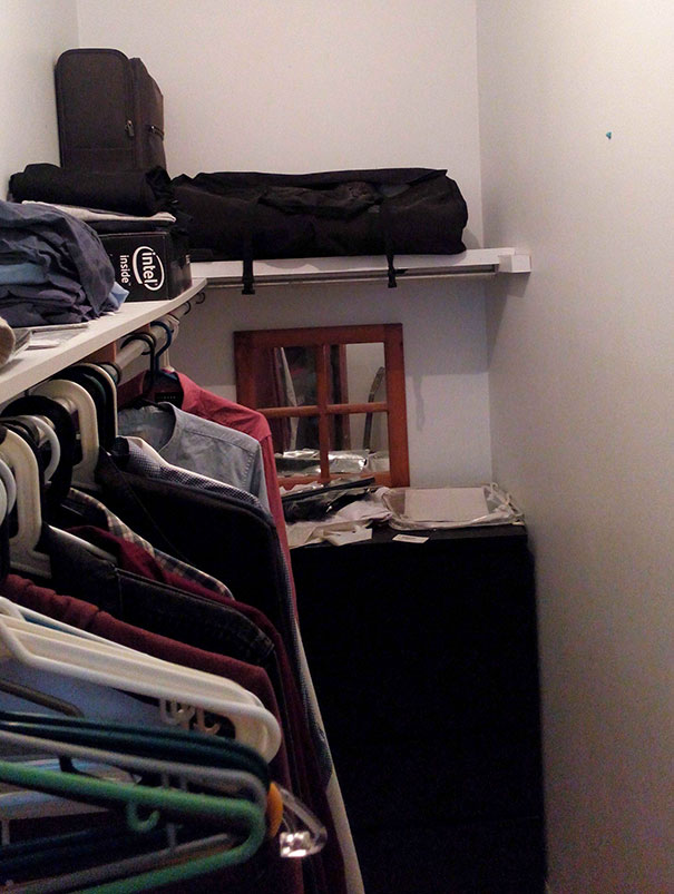 81 Purrfectly Camouflaged Cats That Are Impossible To Find Without Looking At The Answers