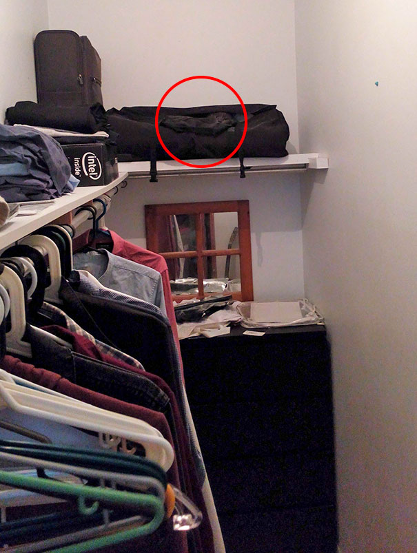 81 Purrfectly Camouflaged Cats That Are Impossible To Find Without Looking At The Answers 81 Purrfectly Camouflaged Cats That Are Impossible To Find Without Looking At The Answers