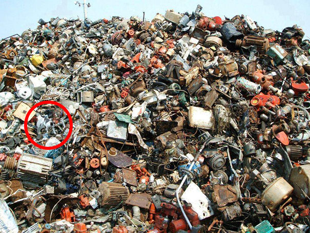 81 Purrfectly Camouflaged Cats That Are Impossible To Find Without Looking At The Answers 81 Purrfectly Camouflaged Cats That Are Impossible To Find Without Looking At The Answers