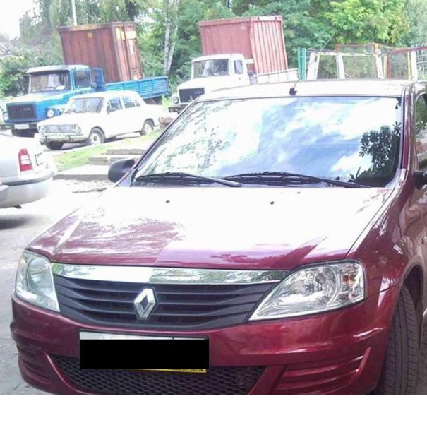 81 Purrfectly Camouflaged Cats That Are Impossible To Find Without Looking At The Answers