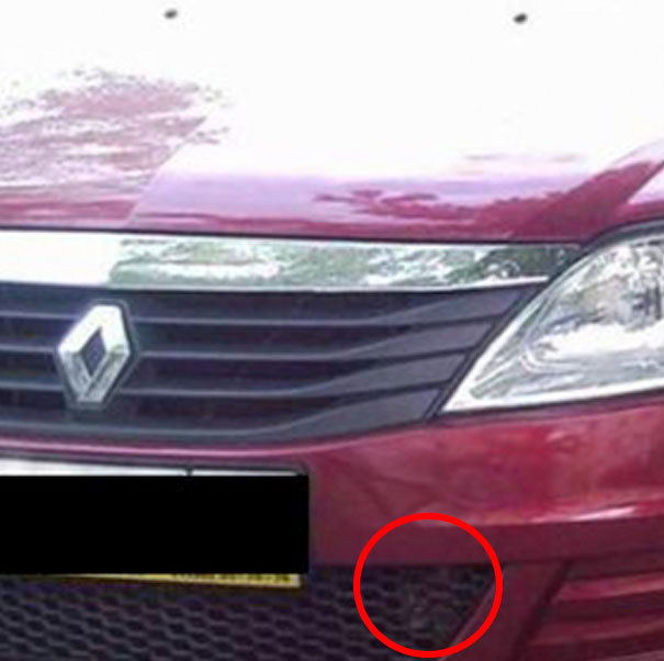 81 Purrfectly Camouflaged Cats That Are Impossible To Find Without Looking At The Answers