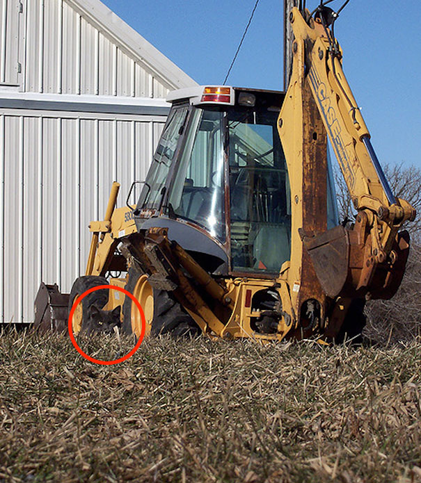 81 Purrfectly Camouflaged Cats That Are Impossible To Find Without Looking At The Answers 81 Purrfectly Camouflaged Cats That Are Impossible To Find Without Looking At The Answers