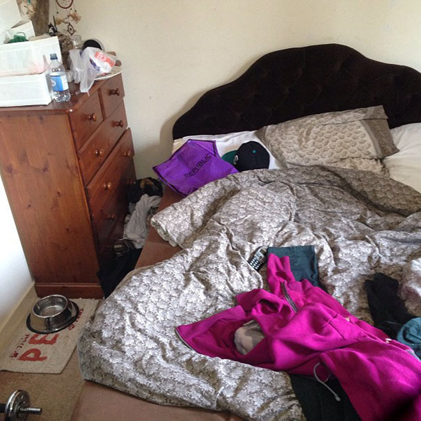 81 Purrfectly Camouflaged Cats That Are Impossible To Find Without Looking At The Answers