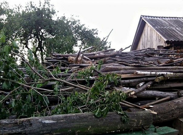 81 Purrfectly Camouflaged Cats That Are Impossible To Find Without Looking At The Answers