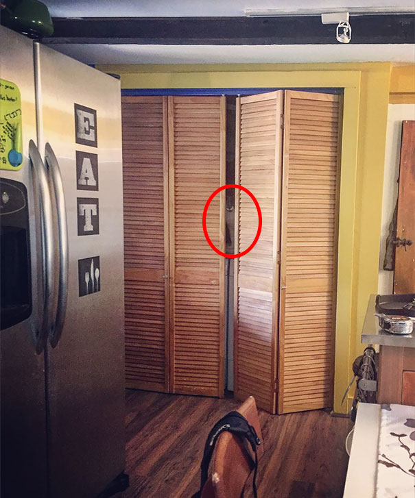 81 Purrfectly Camouflaged Cats That Are Impossible To Find Without Looking At The Answers