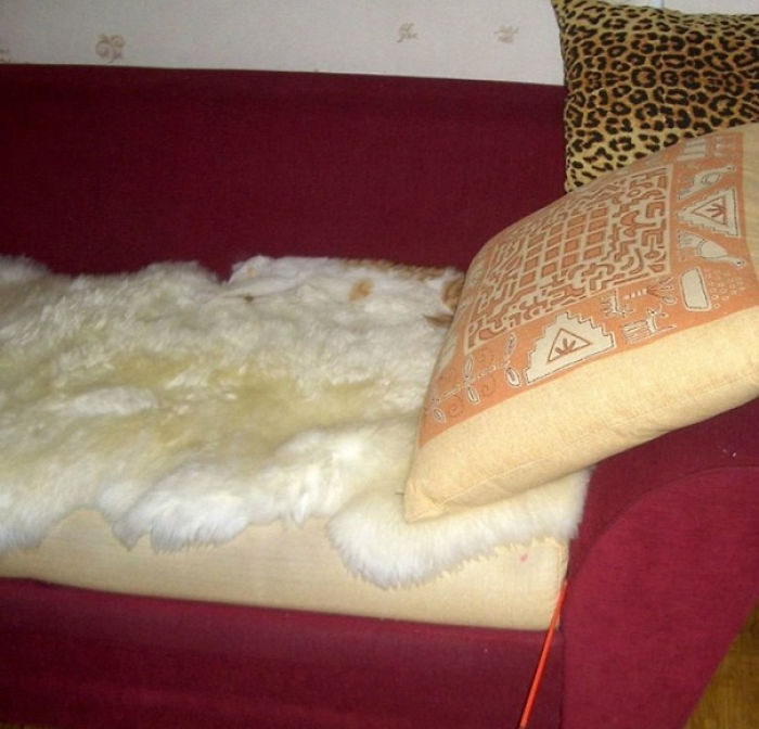 81 Purrfectly Camouflaged Cats That Are Impossible To Find Without Looking At The Answers