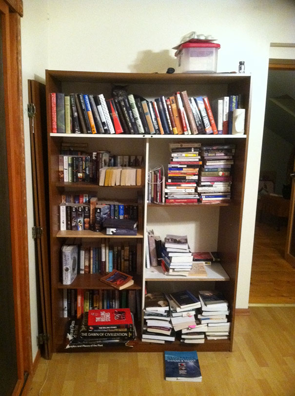 81 Purrfectly Camouflaged Cats That Are Impossible To Find Without Looking At The Answers