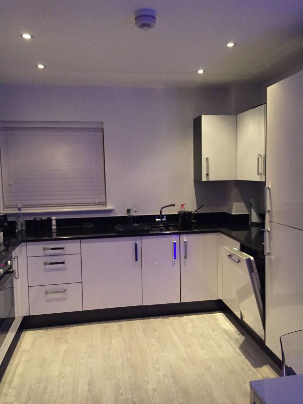 81 Purrfectly Camouflaged Cats That Are Impossible To Find Without Looking At The Answers