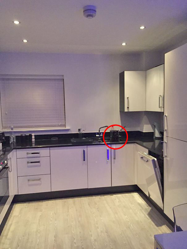 81 Purrfectly Camouflaged Cats That Are Impossible To Find Without Looking At The Answers