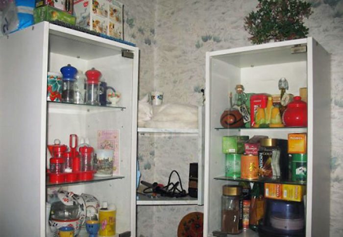 81 Purrfectly Camouflaged Cats That Are Impossible To Find Without Looking At The Answers