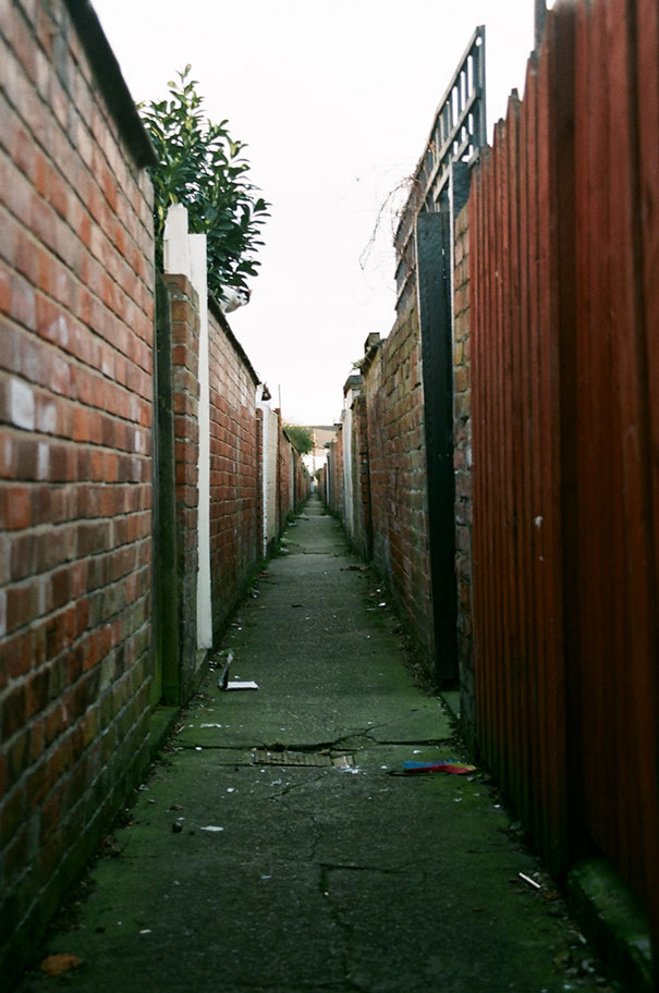 81 Purrfectly Camouflaged Cats That Are Impossible To Find Without Looking At The Answers