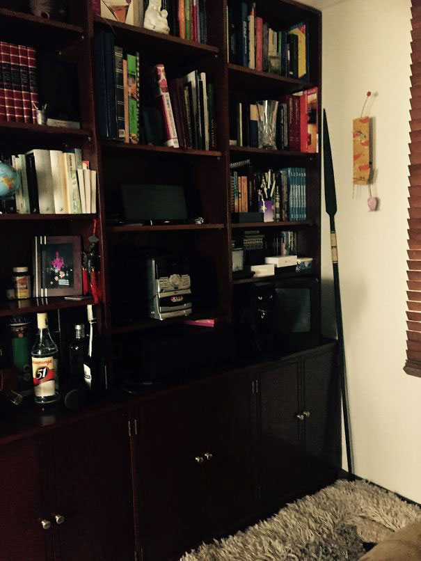 81 Purrfectly Camouflaged Cats That Are Impossible To Find Without Looking At The Answers