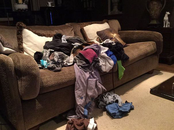 81 Purrfectly Camouflaged Cats That Are Impossible To Find Without Looking At The Answers