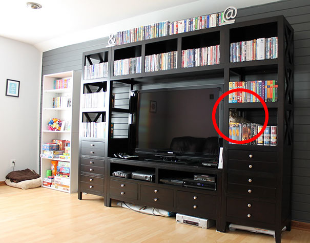 81 Purrfectly Camouflaged Cats That Are Impossible To Find Without Looking At The Answers