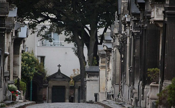 81 Purrfectly Camouflaged Cats That Are Impossible To Find Without Looking At The Answers