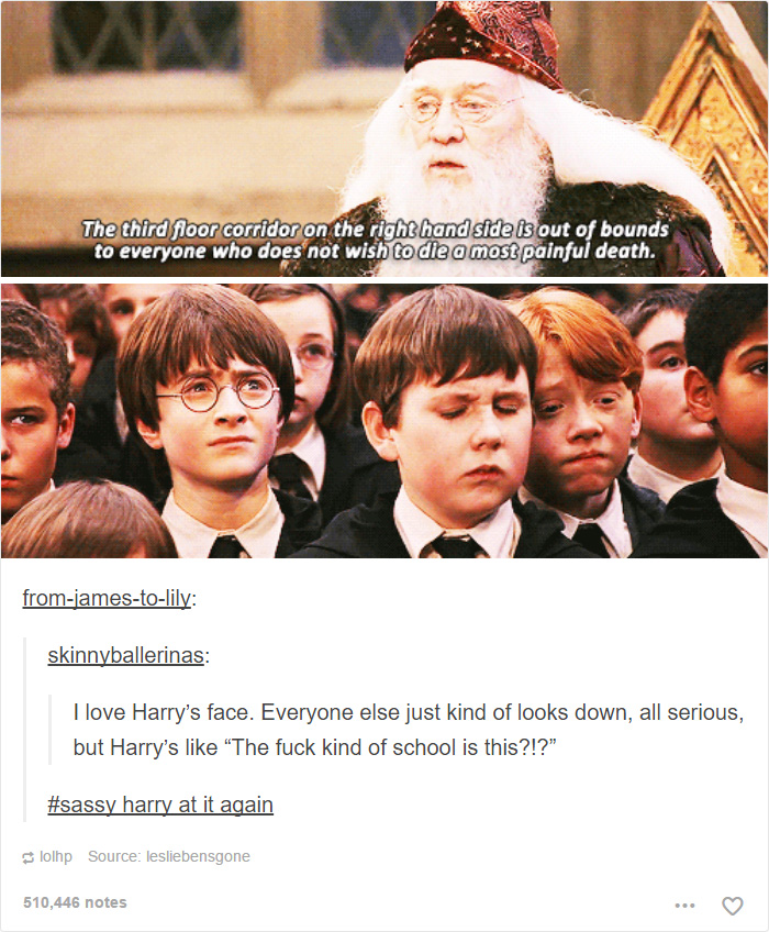 126 Harry Potter Tumblr Posts That Are Impossible Not To Laugh At If You&#8217;re A Potterhead