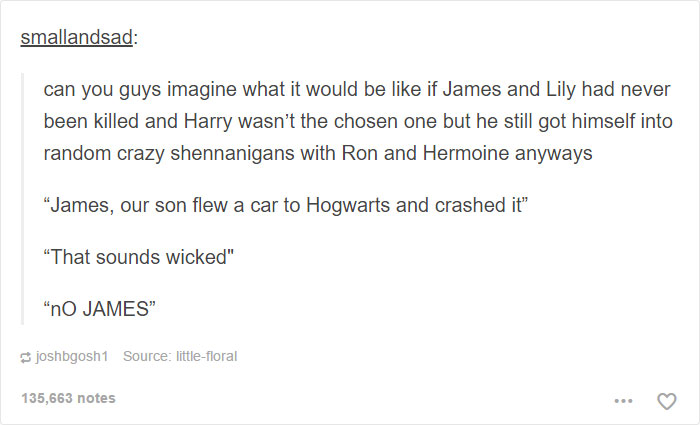 126 Harry Potter Tumblr Posts That Are Impossible Not To Laugh At If You&#8217;re A Potterhead