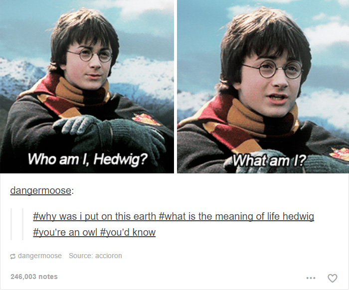 126 Harry Potter Tumblr Posts That Are Impossible Not To Laugh At If You&#8217;re A Potterhead