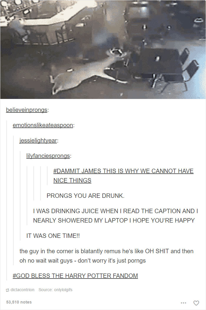 126 Harry Potter Tumblr Posts That Are Impossible Not To Laugh At If You&#8217;re A Potterhead