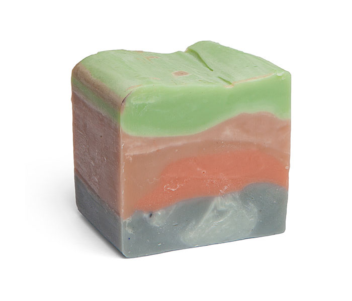 This Archaeology Soap Has Hidden Dinosaurs Inside This Archaeology Soap Has Hidden Dinosaurs Inside