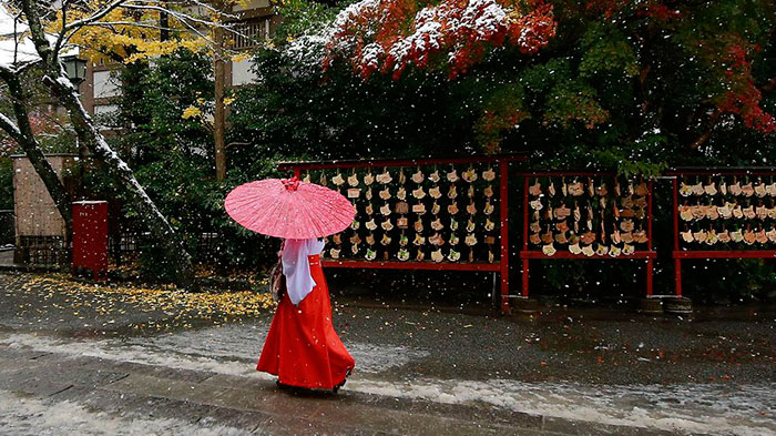 Tokyo, Which Hasn&#8217;t Seen November Snow In Over 50 Years, Surprised To Wake Up In A Winter Wonderland