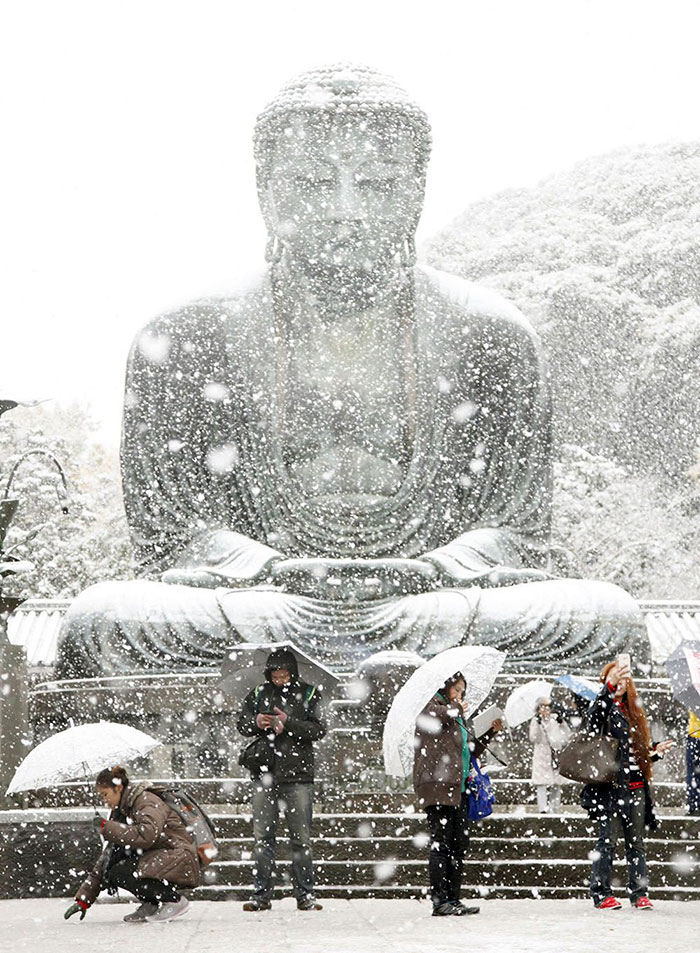 Tokyo, Which Hasn&#8217;t Seen November Snow In Over 50 Years, Surprised To Wake Up In A Winter Wonderland