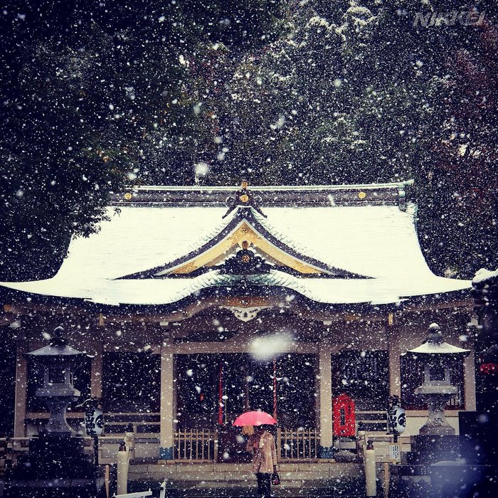 Tokyo, Which Hasn&#8217;t Seen November Snow In Over 50 Years, Surprised To Wake Up In A Winter Wonderland