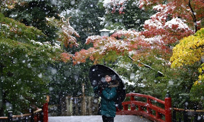 Tokyo, Which Hasn&#8217;t Seen November Snow In Over 50 Years, Surprised To Wake Up In A Winter Wonderland